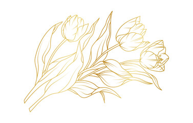 Golden tulip flowers line art isolated on white background. Luxury tulip floral design elements for invitation, wedding, wallpaper, print template, vector illustration