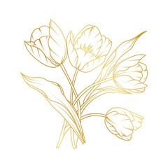 Golden tulip flowers line art isolated on white background. Luxury tulip floral design elements for invitation, wedding, wallpaper, print template, vector illustration