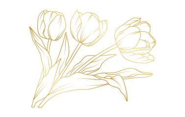 Golden tulip flowers line art isolated on white background. Luxury tulip floral design elements for invitation, wedding, wallpaper, print template, vector illustration