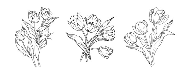 Tulip flower arrangement line art on white background. Silhouette tulip botanical hand drawn element for wedding, invitation frame design, vector illustration