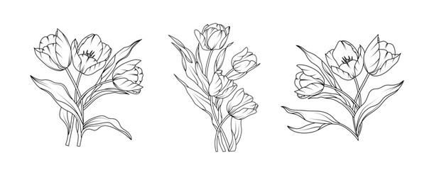 Tulip flower arrangement line art on white background. Silhouette tulip botanical hand drawn element for wedding, invitation frame design, vector illustration