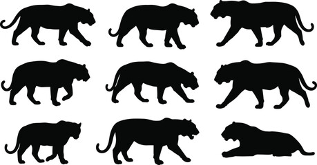 Black panther silhouette vector set, wild big cat illustration, stalking and walking poses, jungle animal graphic, wildlife design, predator shapes collection, feline outline artwork