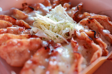 Pan-Fried Dumplings with Melted Cheese and Shredded Cabbage – Close-Up Shot