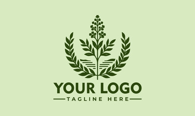 Minimalist botanical illustration of a leafy plant with small berries and flowing branches. Nature and organic concept
