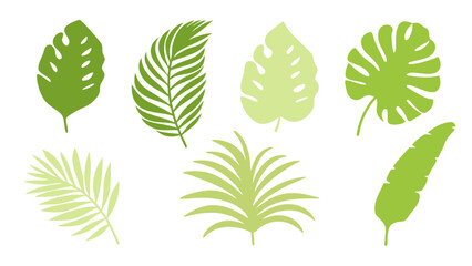 Set of colourful tropical palm leaves vector © Creative vector