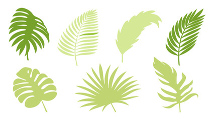 Set of colourful tropical palm leaves vector © Creative vector
