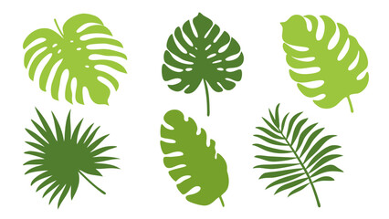 Set of colourful tropical palm leaves vector © Creative vector