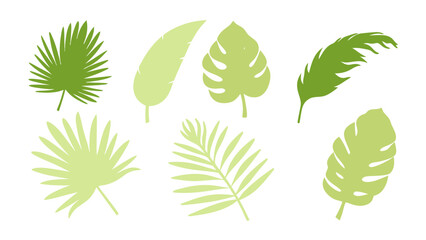 Set of colourful tropical palm leaves vector © Creative vector