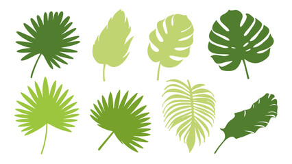 Set of colourful tropical palm leaves vector