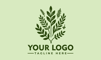 Minimalist botanical illustration of a leafy plant with small berries and flowing branches. Nature and organic concept