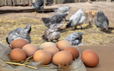 Farm eggs on burlap and straw on chickens graze background