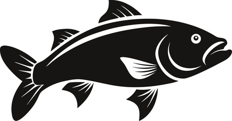 fish on a white background