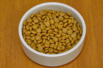 cat food in the bowl