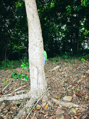 Khao Kha Temple, a 2,000-Year-Old Sanctuary in the Thai Forest

