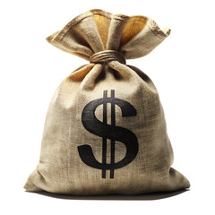 bag with money with dollar sign isolated on white background PNG, AI GENERATED