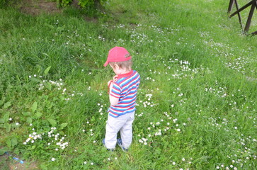 Child Exploring Flowers in a Sunny Meadow