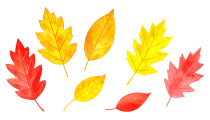 秋の紅葉、葉っぱセット（水彩画テクスチャのイラスト素材）