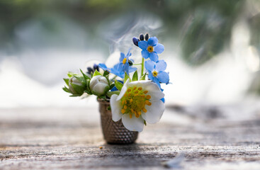 Blue forget-me-not and white strawberry flowers in vintage brass thimble on rustic wooden table