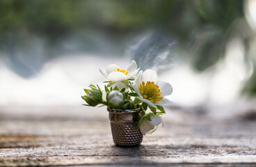 Strawberry flowers in vintage brass thimble on rustic wooden table