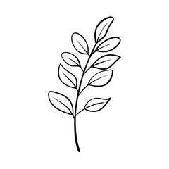 Elegant black line art eucalyptus branch silhouette design