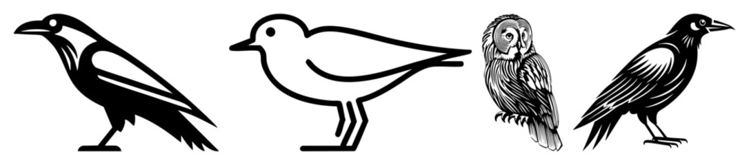 Vector Four stylized bird illustrations showcase diverse avian forms.
