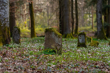 jüdischer Friedhof