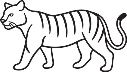 Walking tiger illustration isolated on white background
