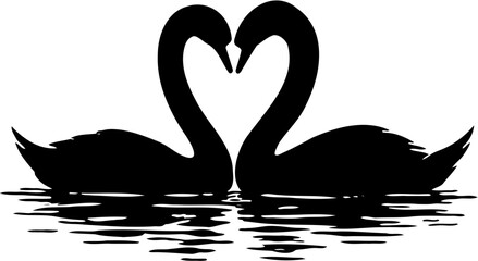 swan vector illustration, isolated on white