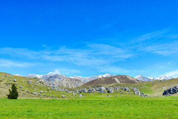 The Castle hill. Southern Alps. Arthurs Pass. New Zealand	