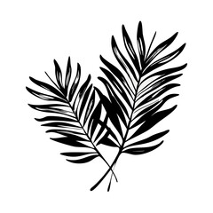 Fototapeta premium Minimalist black vector silhouette of tropical palm leaves for design projects