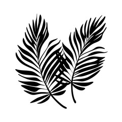 Minimalist black vector silhouette of tropical palm leaves design element