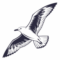 Professional seagull illustration isolated on white background clean cutout ready for design projects