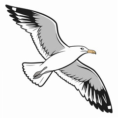 Professional seagull illustration isolated on white background ready for design projects