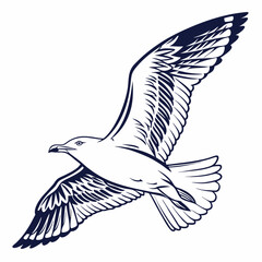 Professional seagull illustration isolated on white background, clean cutout, transparent png