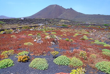 Vulkan Corona auf Lanzarote © Fotolyse