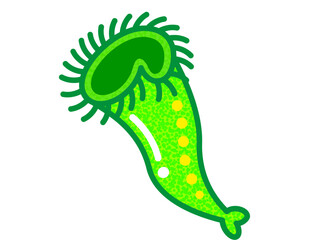 シンプルなラッパムシのイラスト素材3