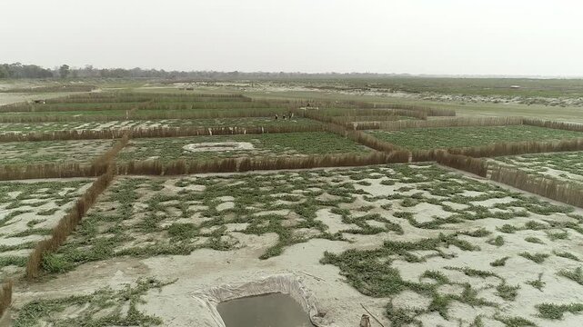 riverbank brahmaputra watermelon farm organic farm assam,watermelon farming assam farmer's life agriculture