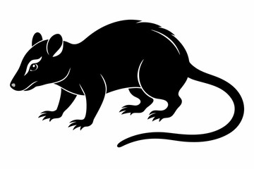 opossum sihouette black vector