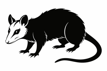 opossum sihouette black vector