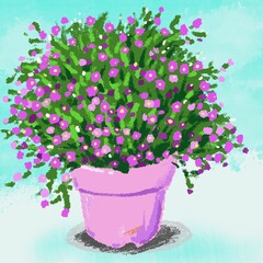 pink flowers in a pot