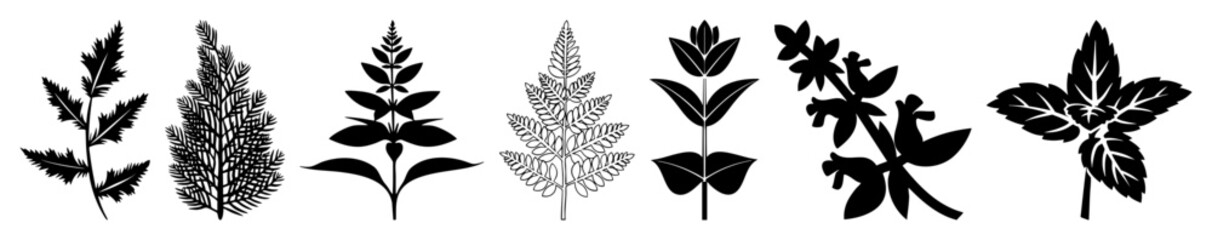 Naklejka premium Vector Botanical fern and foliage vector illustrations set.