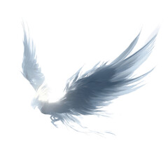 Obraz premium Abstract White Wings in Flight - Fantasy Design Element