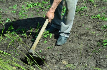 A man is digging in the dirt with a shovel. He is wearing a pair of gray pants and a gray shirt