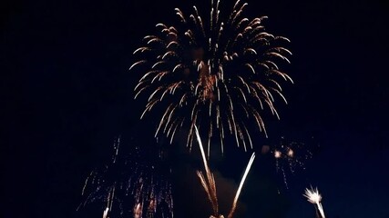 Colorful fireworks exploding in night sky, 4k festive celebration loop video - Powered by Adobe