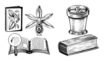 Vector Vintage botanical illustrations depict a vanilla orchid open book and apothecary elements.