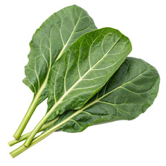 Fresh Collard Green Leaves Isolated on White Background
