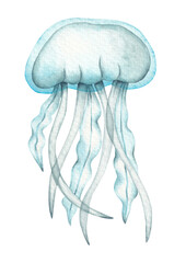 Jellyfish hand drawn by watercolor. Layout for card, invitation, banner, logo design. Isolated on white background. Underwater, ocean, sea element