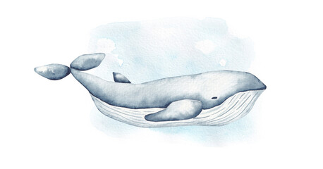 Whale hand drawn by watercolor. Layout for card, invitation, banner, logo design. Isolated on whatercolor spot background