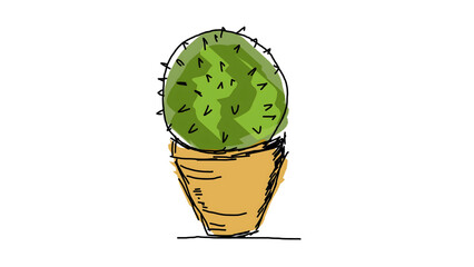 green cactus vector illustration 