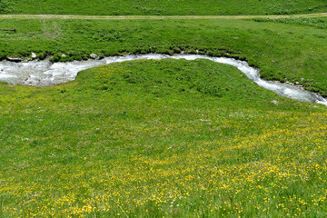 A stream winding through a lush green meadow with numerous yellow flowers